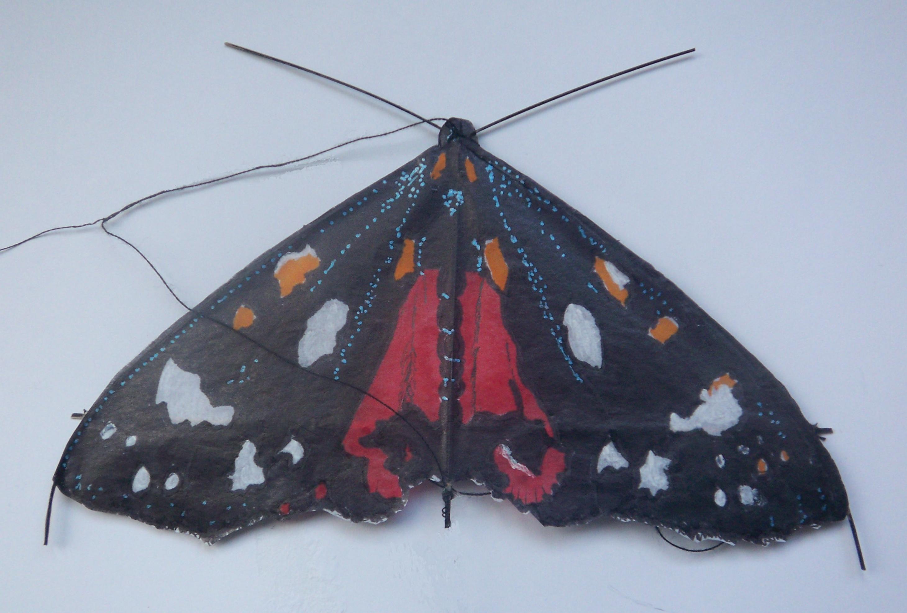 Scarlet Tiger: (WxH) 140 x 70 mm