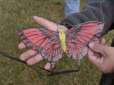 red butterfly [(WxH)  230 x 120 mm]