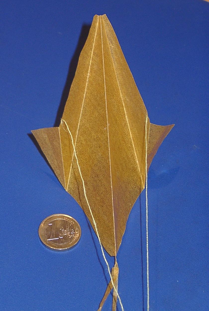 folded paper: (WxH): 83 x 130 mm