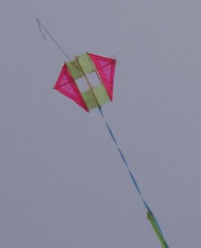 Wingbox: (WxH)  125 x 100 mm