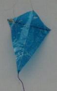 Lightwindeddy [(WxH)  20 x 30 mm)
