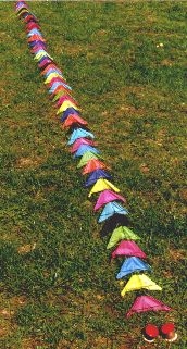all 50 Speedies [(WxH)  140 x 70 mm, approx. 5 m long]
