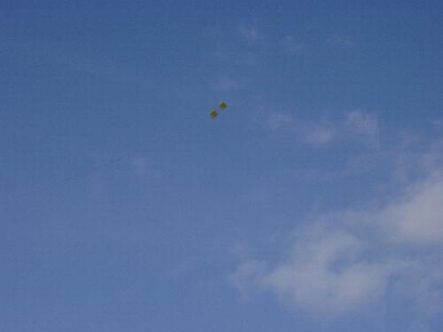 Boxkite in Air [(WxDxL) 9 x 9 x 29 mm]