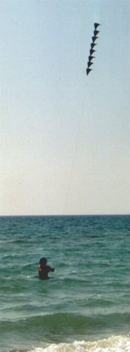 8er Speedies [(BxH)  260 x 110 mm, ca. 1,50 m lang]