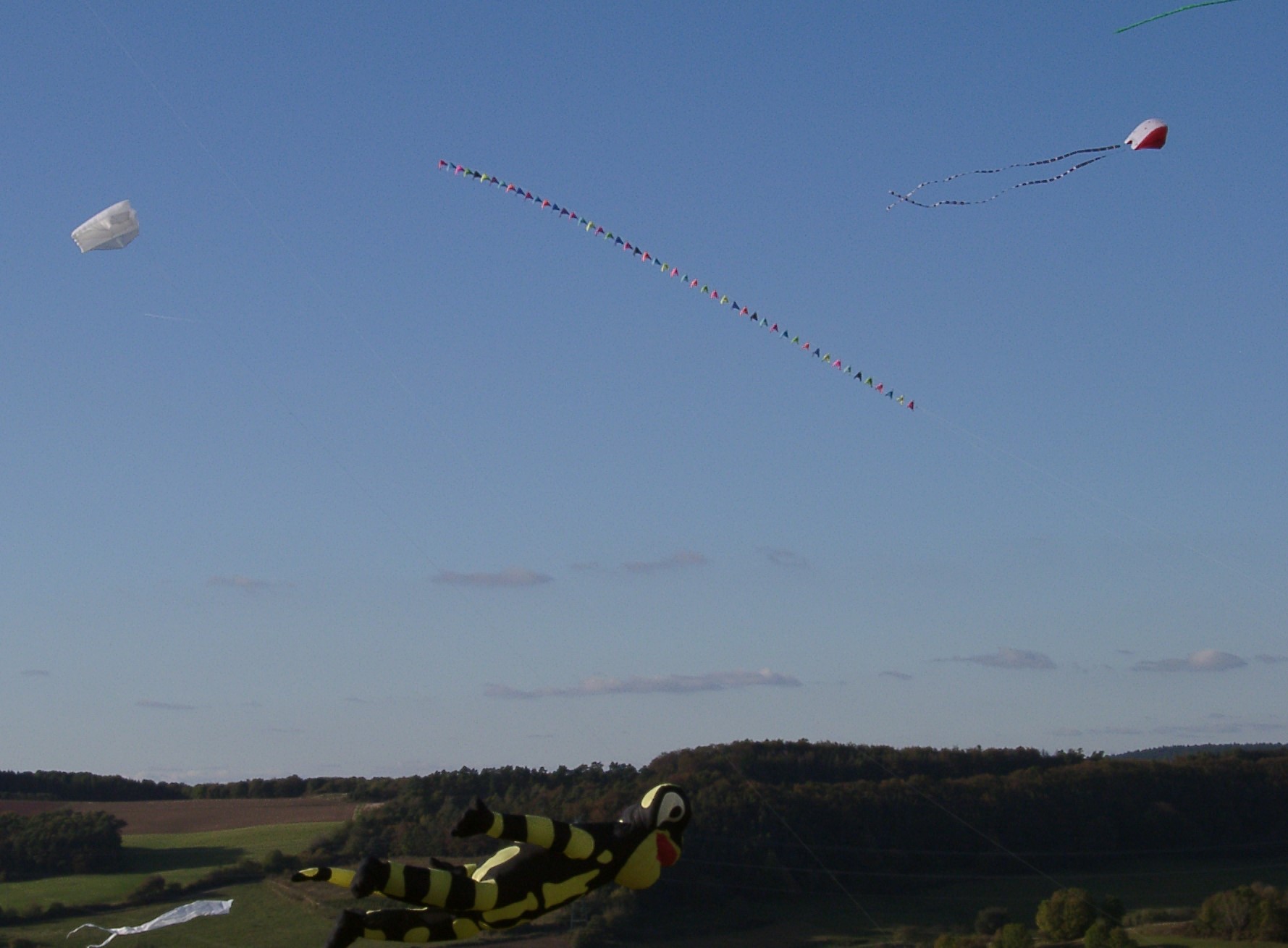 50 fliegende Speedwings [(BxH)  140 x 70 mm, ca. 5 m lang]