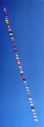 50 fliegende Speedwings [(BxH)  140 x 70 mm, ca. 5 m lang]